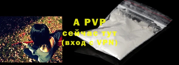 эйфоретик Богданович