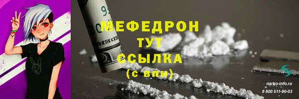 СК Богородск