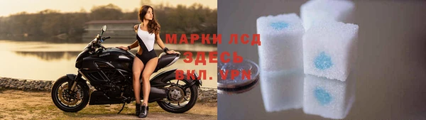 эйфоретик Богданович