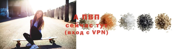 эйфоретик Богданович
