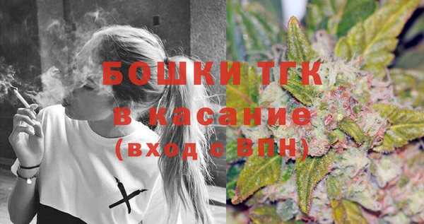 СК Богородск