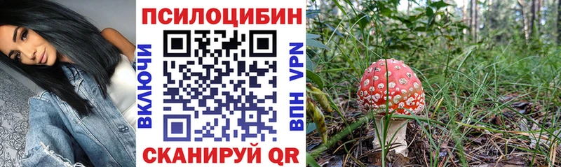 Галлюциногенные грибы GOLDEN TEACHER  где найти   Иркутск 